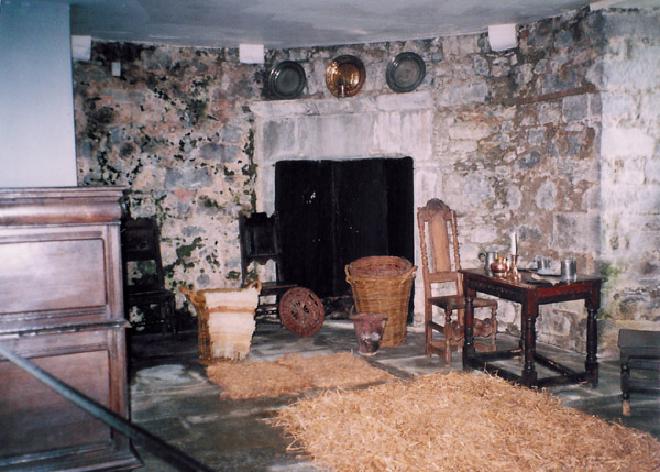 Dunguaire Castle Image 2