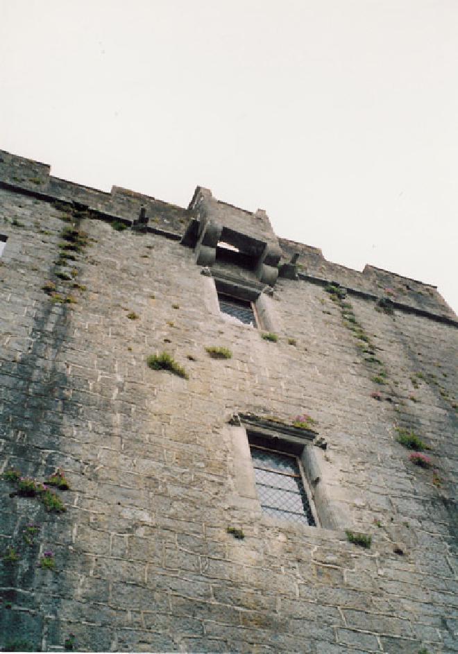 Dunguaire Castle Image 3