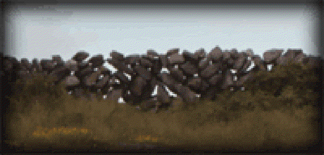 A mortarless stone wall along the green road