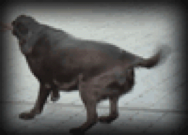 AC battles for control of the stick